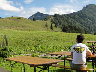 DSC04153.jpg