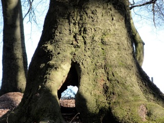 DSC00809_2.jpg
