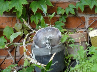 DSC02676_2.jpg