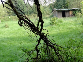 DSC03843_2.jpg