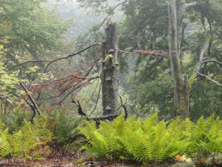 DSC05032.jpg