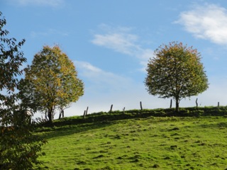 DSC05202.jpg