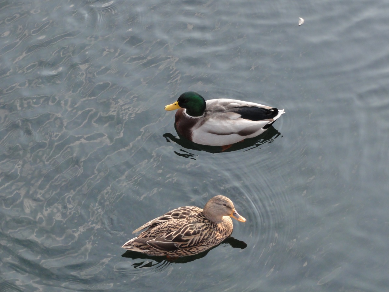DSC05186.jpg