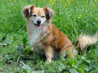 DSC07569_2.jpg
